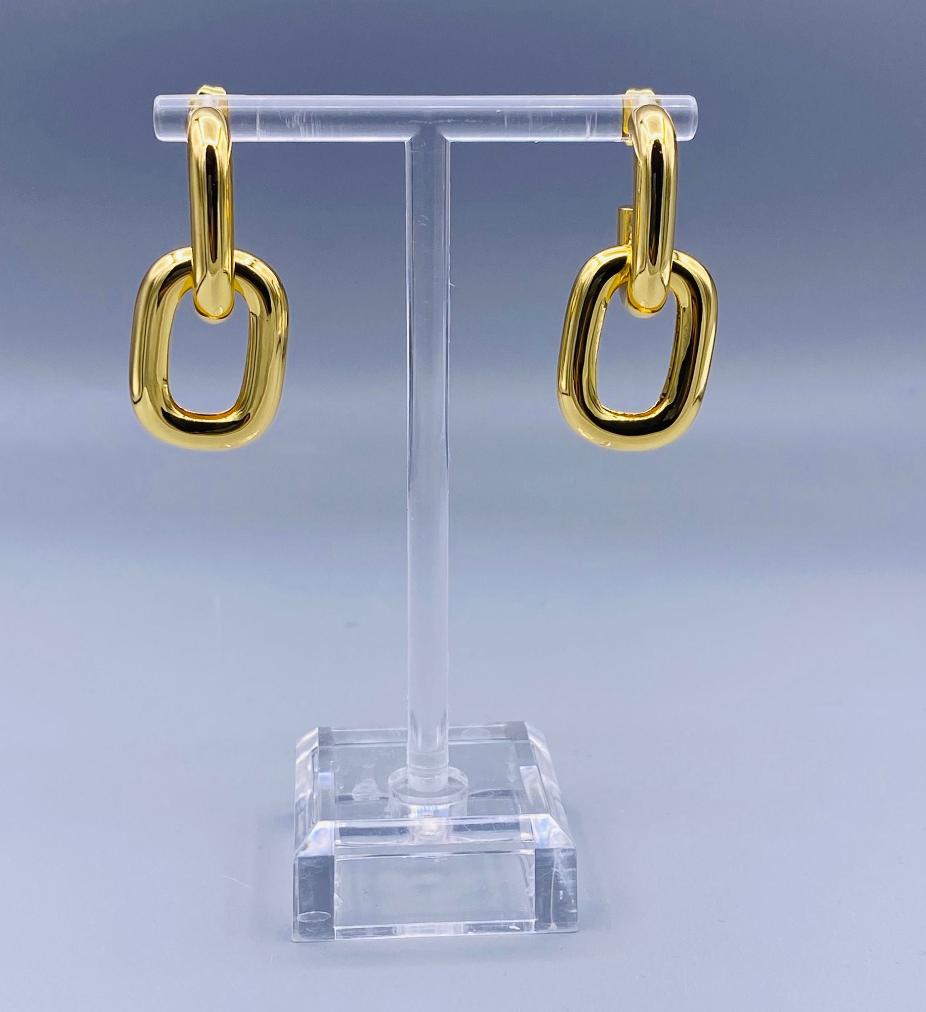 Oval Link Earrings - NF1064E-2
