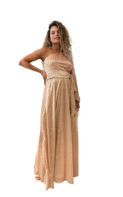 One Shoulder Animal Print Maxi Dress - 43-3411 - Brown Loft