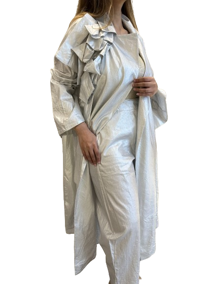 Silver Pants - 30.395_4