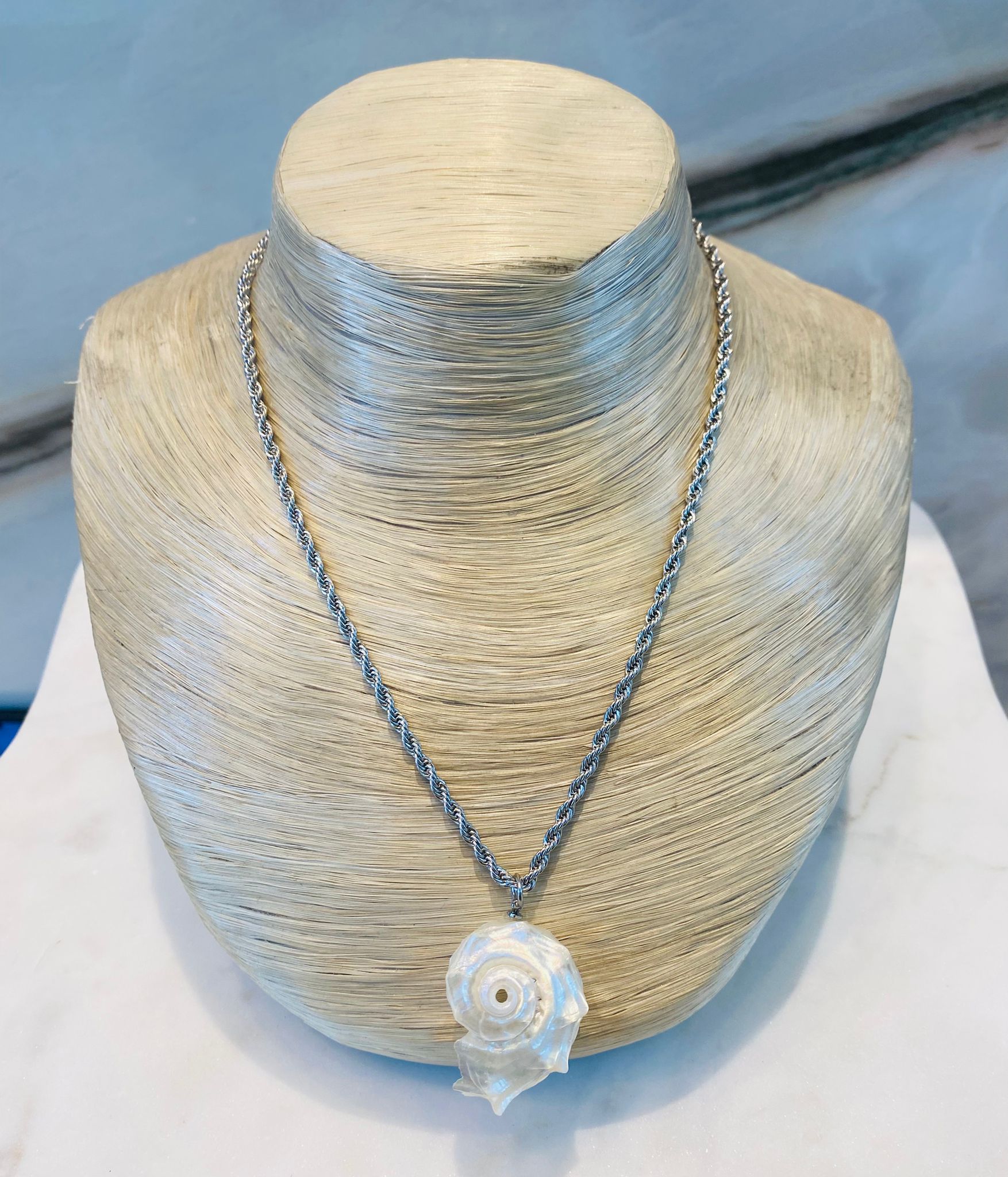Scallop Necklace