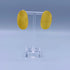 Oblong Shape Brass Earrings - 1004