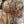 KD8807VC/9088 Peacocks Floral Set
