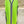 2516055 Lime