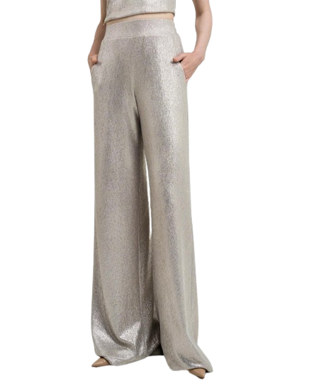 43-5047 (Metallic Pants) السراويل المعدنية