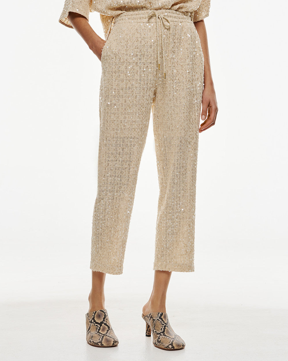 53-5116 Sequins Pants - Brown Loft