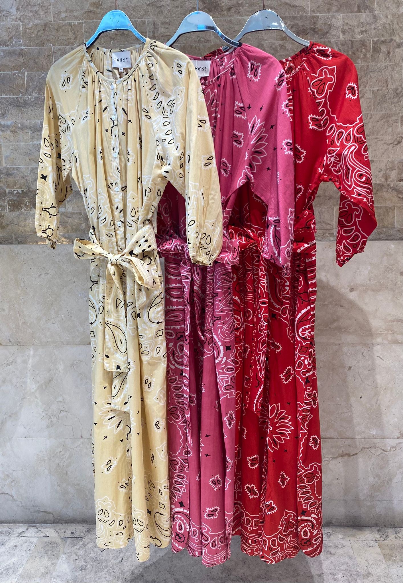 Bandana Paisley Print Long Dress - Brown Loft