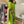 2516055 Lime