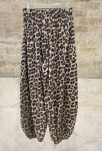 Leopard Print Harem Pants TDM08726-28