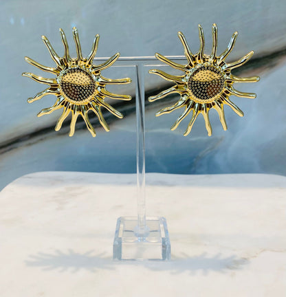 Raggio Earrings