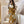 66974 Palm Tree