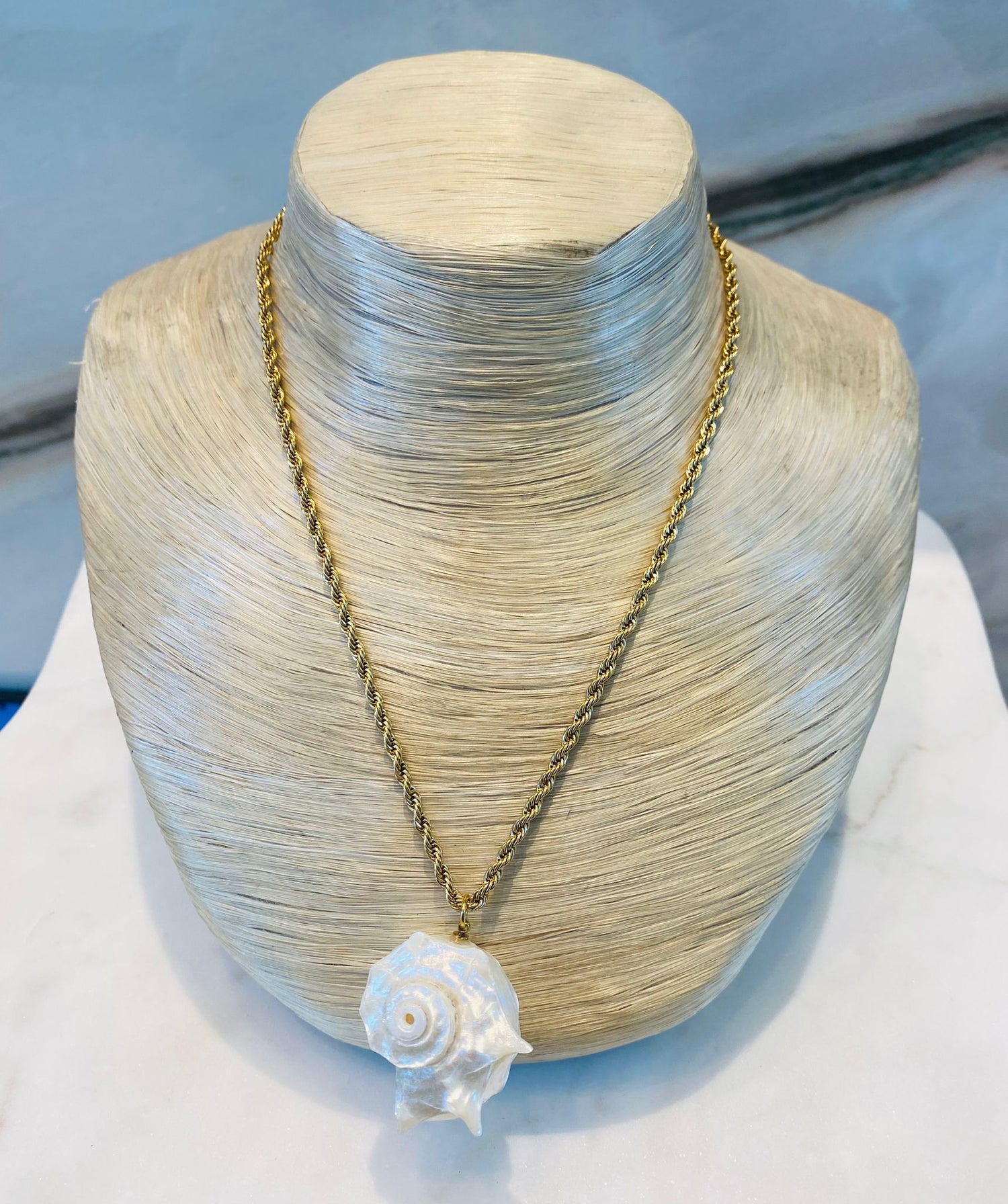 Scallop Necklace