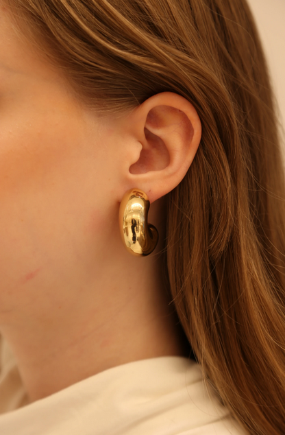 B021270393 Half Chunky Hoops Earrings - Brown Loft