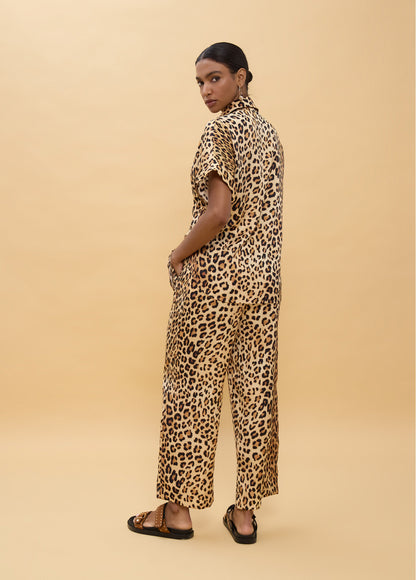 LS2615007/4007 Animal Print Top and Pants قميص وبنطال بنقشة حيوانات - Brown Loft